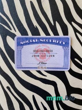 USA SSN fotowygląd zebra tło fotorealistyczny wygląd próbka, 2 w 1